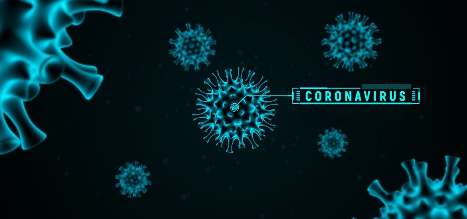 Alternativas para minimizar el impacto económico ante el COVID-19 en las empresas mexicanas